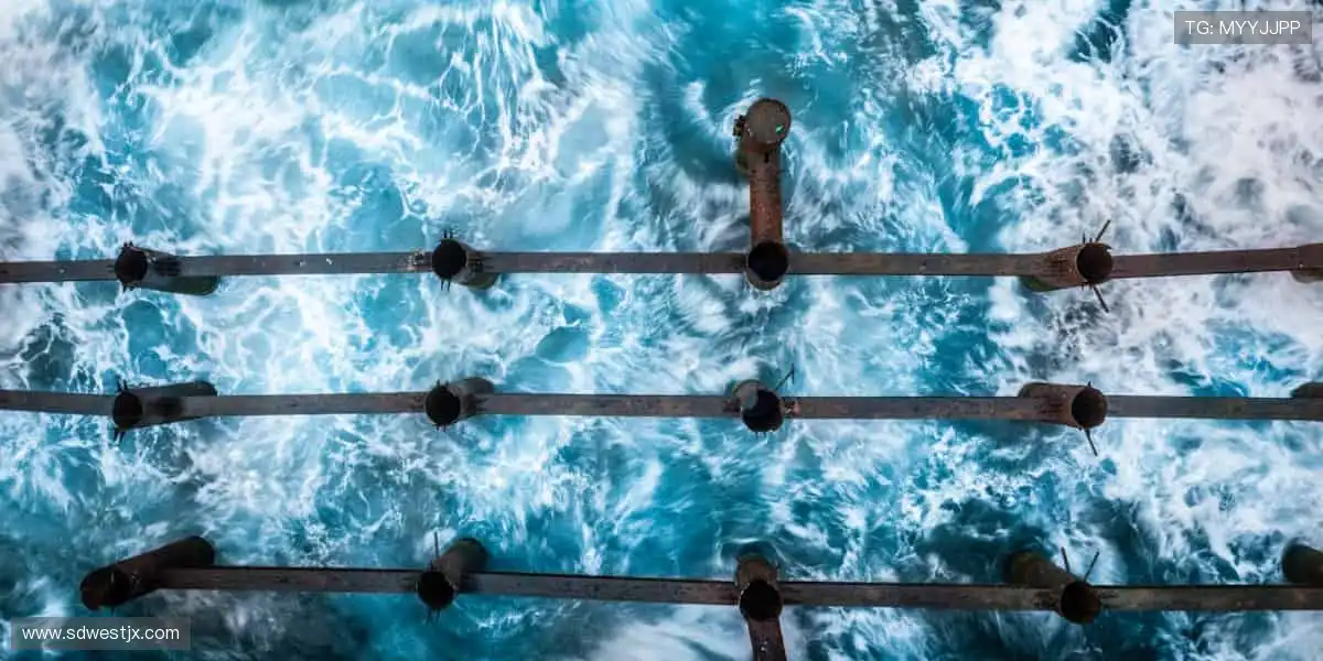 点燃激情，成就传奇！🔥